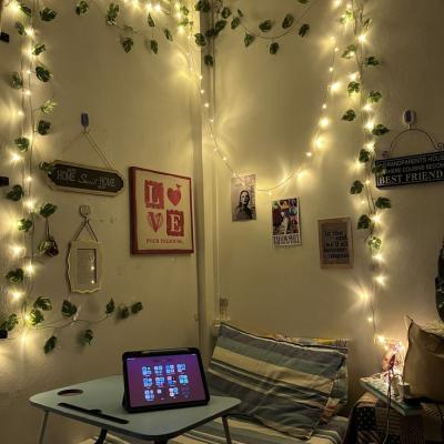 Inside Hostel Life: What Students Really Experience Every Day